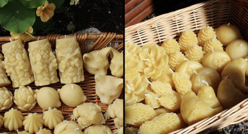 harbingercandleco beeswax wanted beekeepers bees wax candle homemade wanted